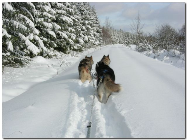 079 Januar 2010 026.jpg
